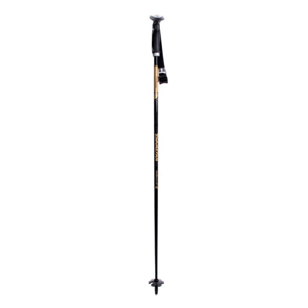 Dynastar Adult Ski Poles