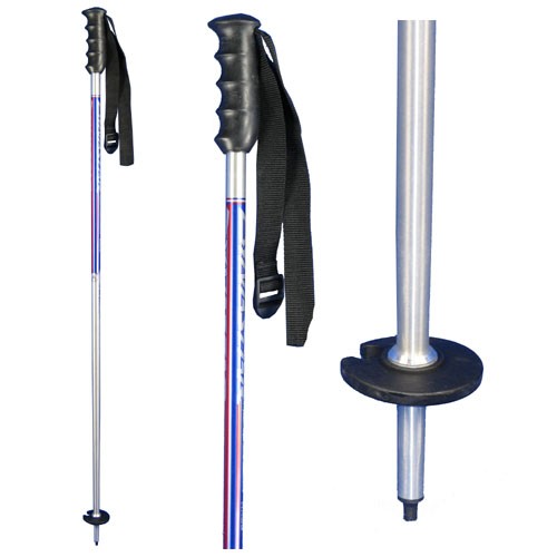 Dynastar Racing Slalom Ski Poles - Kids