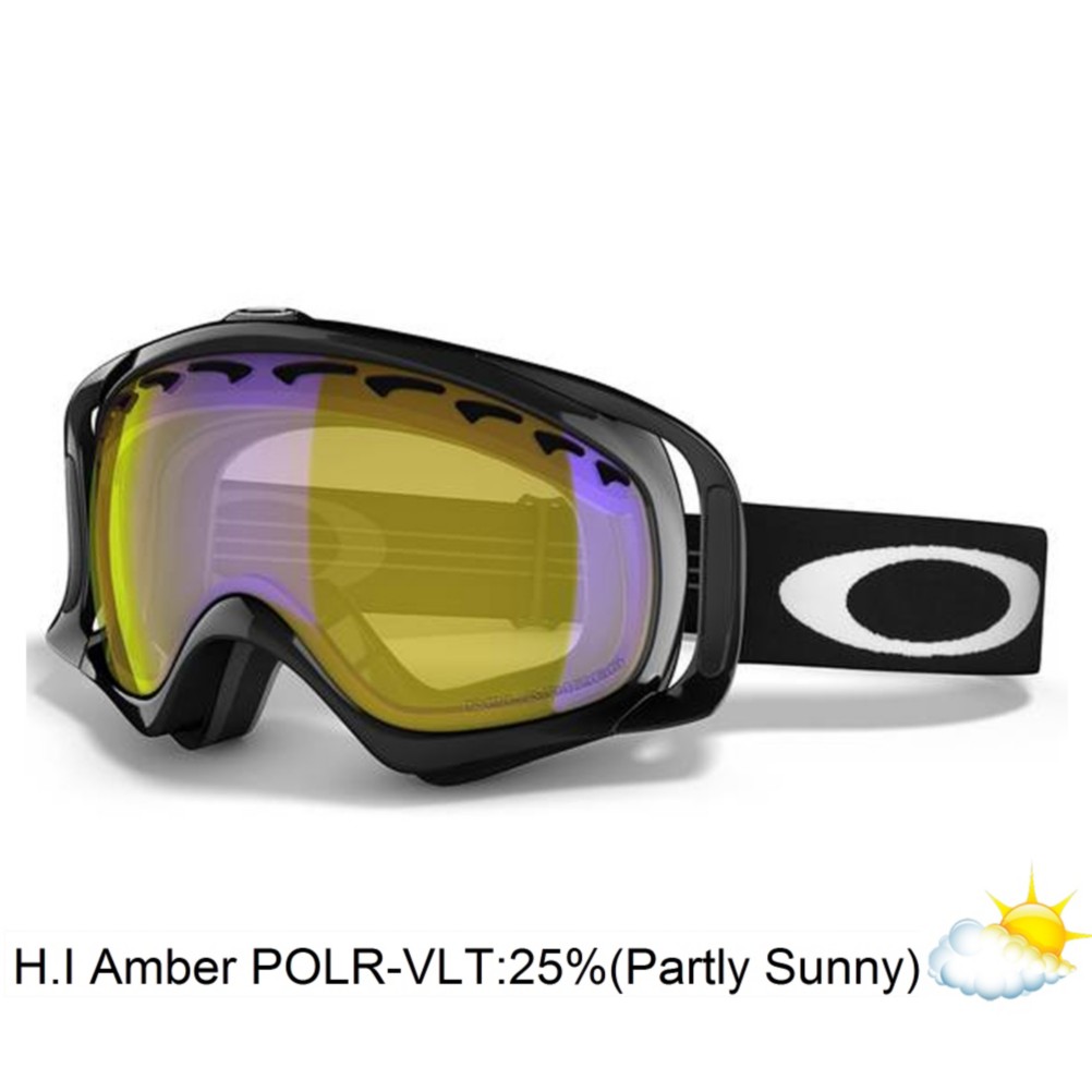 Oakley Polarized Crowbar Goggle - Adult 2010