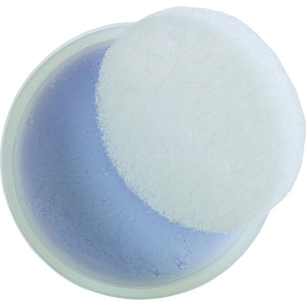 Burton Fluoropaste Wax 2009