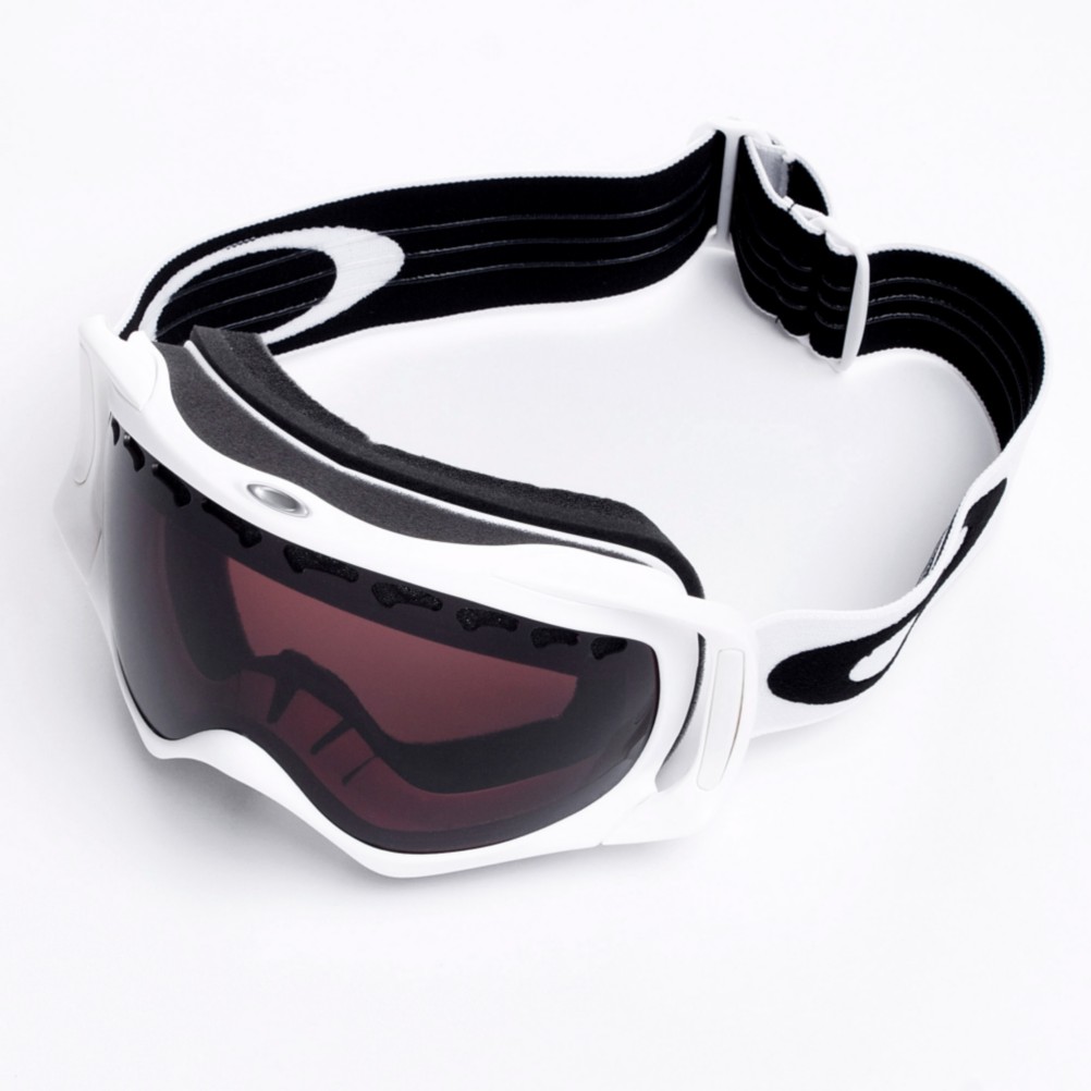 Oakley Crowbar Goggle - Mens 2010