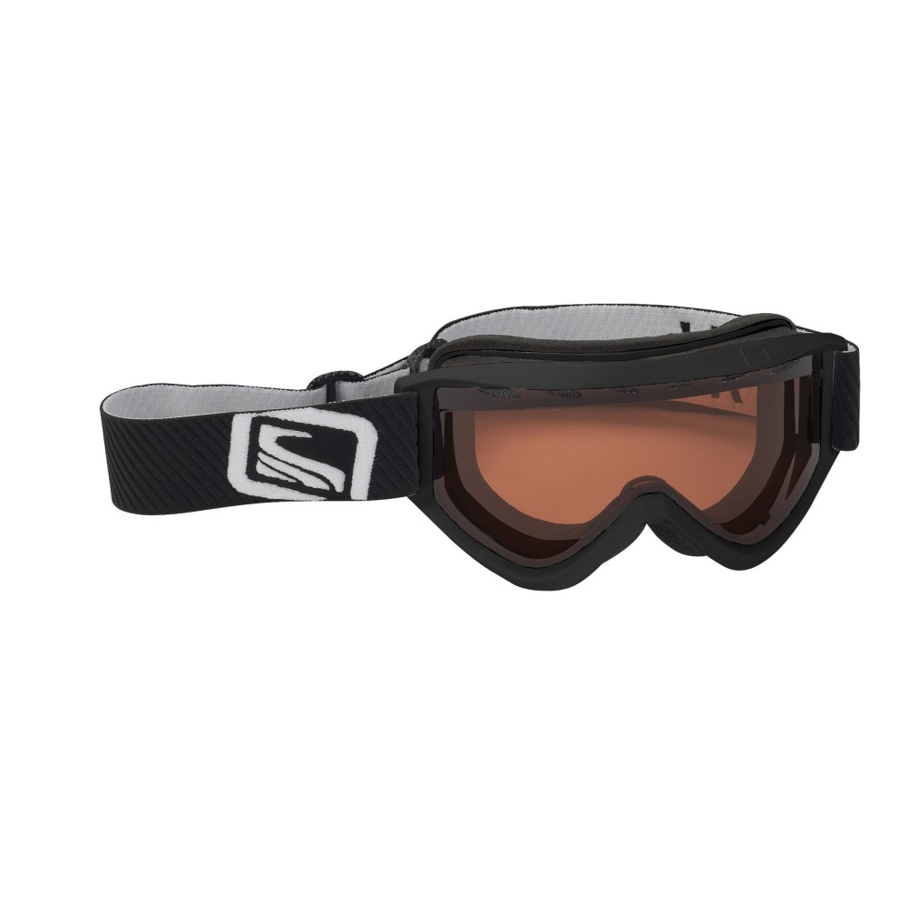 Scott Duel Goggles - Adults 2010