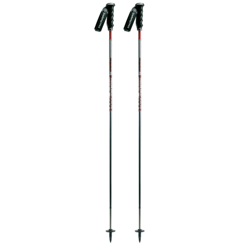 Dynastar Pro Carbon Ski Poles - Mens 2009