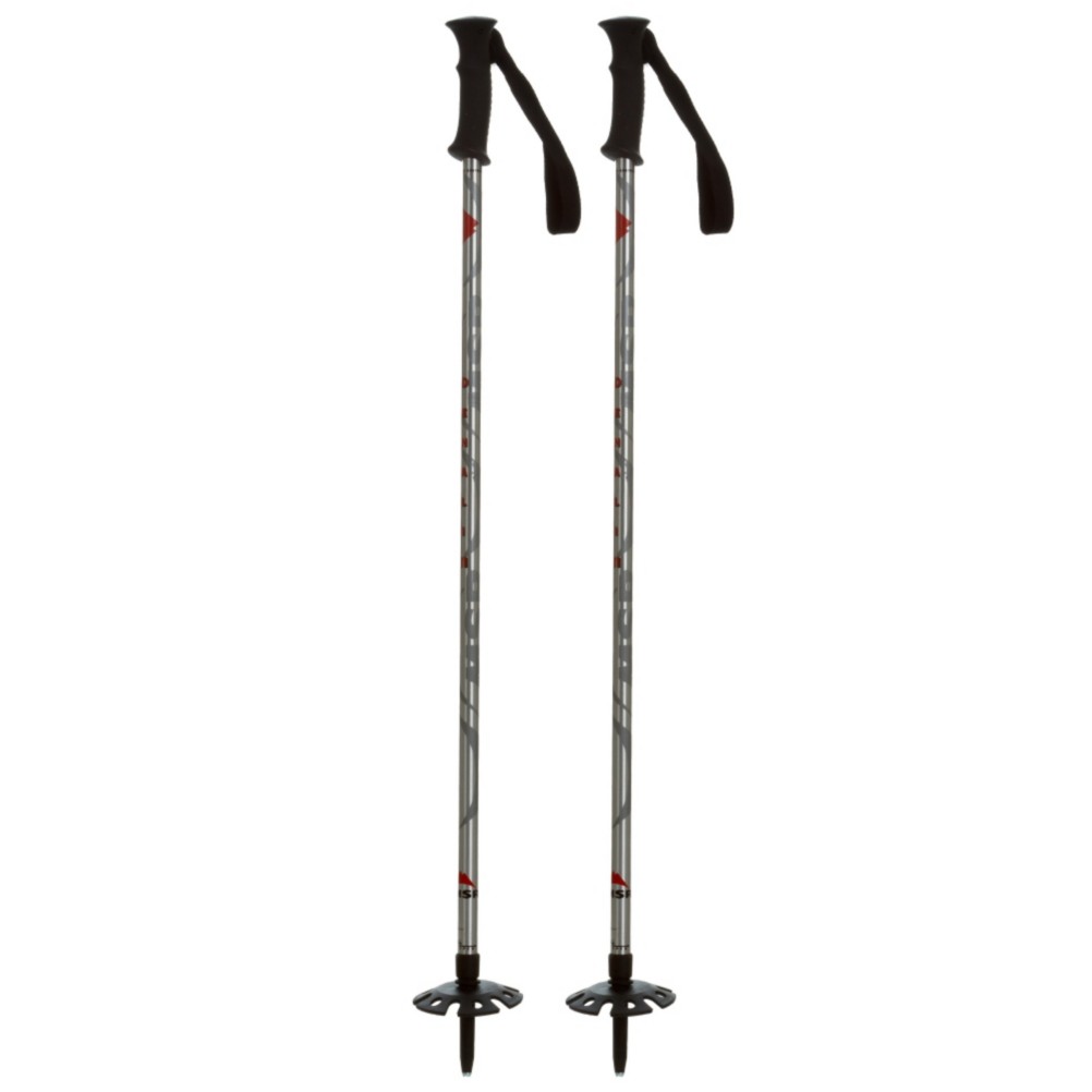 MSR Denali II Snowshoe Poles 2010