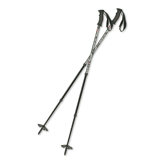 MSR Denali III Snowshoe Poles 2010