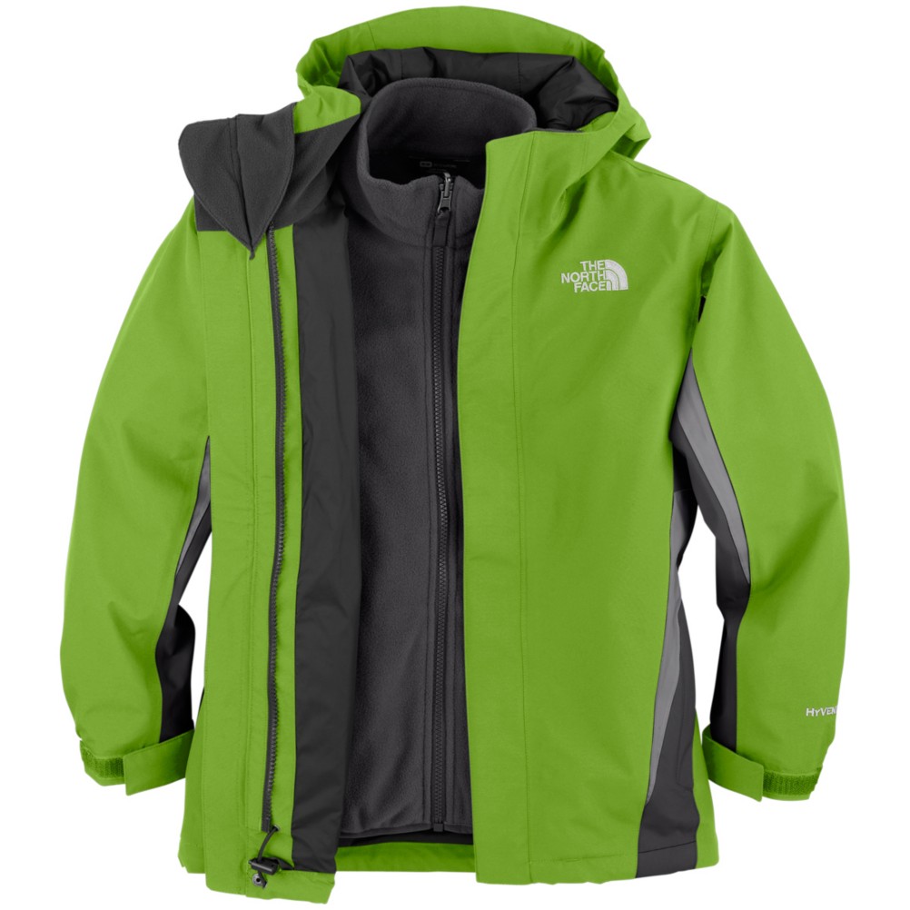 Scottish Moss Green
