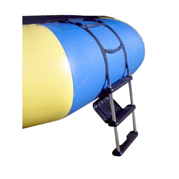 Rave Aluminum Ladder 2009