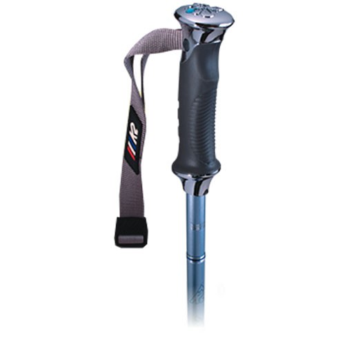 K2 5 Karat Ski Poles